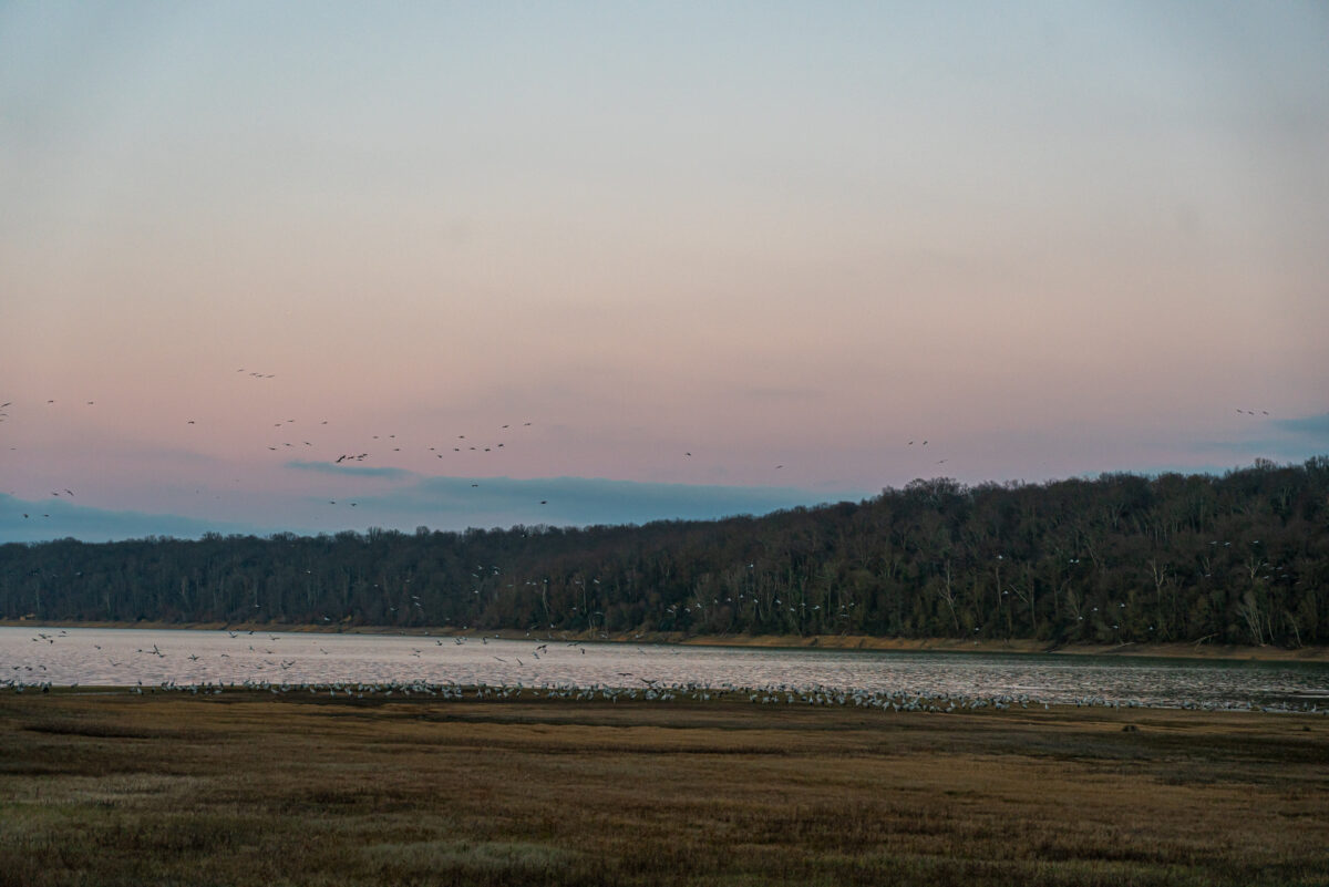 L'heure du coucher à puydarrieux