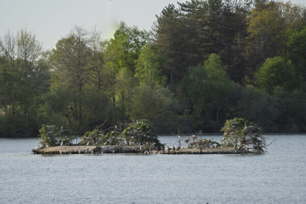 Paysage de l'ayguelongue (1)
