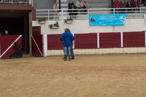 garlin