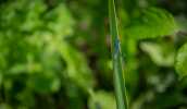 Macro (10).jpg