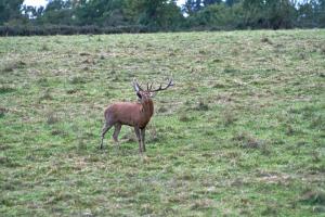 DSC032380.jpg
