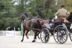 172710_chevaux 4 etoiles Pau 2017 attelages_6217.JPG