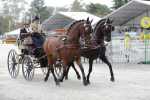 172710_chevaux 4 etoiles Pau 2017 attelages_6227.JPG