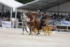 172710_chevaux 4 etoiles Pau 2017 attelages_6254.JPG