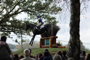 172810_chevaux 4 etoiles Pau oct 2017 cross_6469.JPG