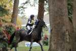 172810_chevaux 4 etoiles Pau oct 2017 cross_6482.JPG