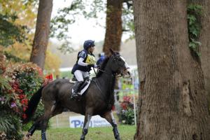 172810_chevaux 4 etoiles Pau oct 2017 cross_6482.JPG