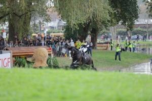 172810_chevaux 4 etoiles Pau oct 2017 cross_6486.JPG