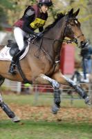 172810_chevaux 4 etoiles Pau oct 2017 cross_6551.JPG