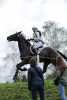 172810_chevaux 4 etoiles Pau oct 2017 cross_6565.JPG