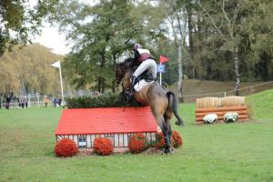172810_chevaux 4 etoiles Pau oct 2017 cross_6582.JPG