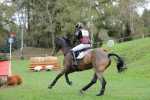 172810_chevaux 4 etoiles Pau oct 2017 cross_6585.JPG