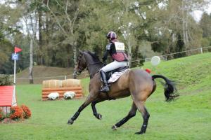 172810_chevaux 4 etoiles Pau oct 2017 cross_6585.JPG