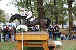172810_chevaux 4 etoiles Pau oct 2017 cross_6647.JPG