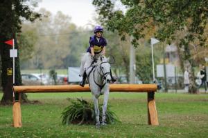172810_chevaux 4 etoiles Pau oct 2017 cross_6661.JPG