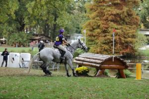 172810_chevaux 4 etoiles Pau oct 2017 cross_6664.JPG