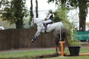 172810_chevaux 4 etoiles Pau oct 2017 cross_6699.JPG