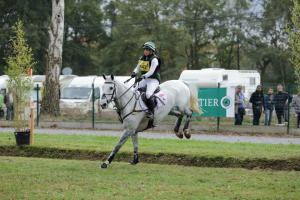 172810_chevaux 4 etoiles Pau oct 2017 cross_6703.JPG
