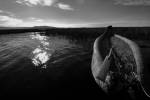 sur_le_lac_titicaca-Anne-Marie-MAGNE-OI-PAU.jpg
