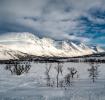 Alpes-de-Lyngen
