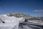 DSC08995.jpg