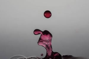 Au_bain-Michel-LARROQUE-OI-PAU.jpg