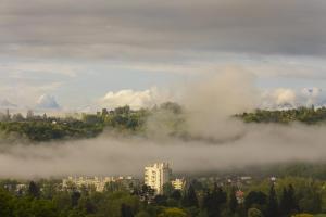 Jurençon3.jpg