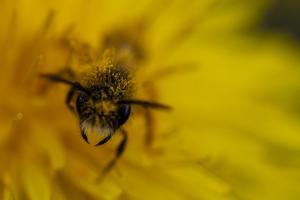 IMG_6979.jpg