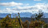Vue des coteaux de Jurançon G73A9655 copie.jpg
