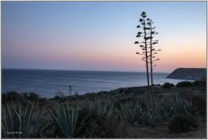 G73A3604 Faro Portugal copie.jpg