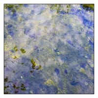 REFLETS DANS LA GENIE LONGUE