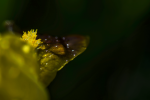 _DSC2854_neo.png