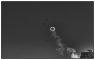 DSC_5079_lum_nb_px.png