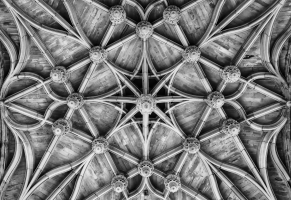 DSC_6048_lum_nb.png