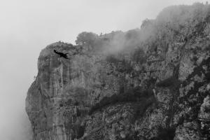 vallée d'Ossau