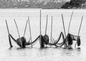 Filets de pêche _DSC5241 1920.jpg