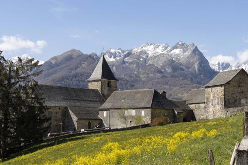 _MG_0711.jpg