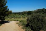 alpilles (16).jpg