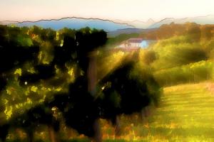photo7-4.jpg