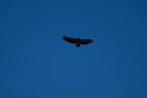 _DSC9408.jpg