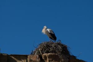 _DSC9489.jpg