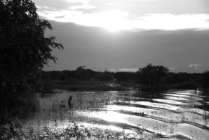 coucher sur le mekong.jpg