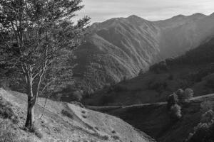 l_ariege-Jean-LASSUS_PIGAT-OI-PAU.jpg
