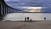 le pont de l'île de Ré.jpg