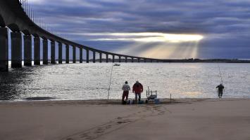 le pont de l'île de Ré.jpg