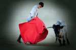 torero 1080.jpg