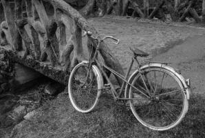 velo.jpg