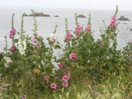BELLE ILE 178.JPG