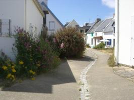 BELLE ILE 185.JPG
