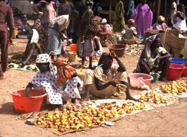 SENEGAL01bis.jpg